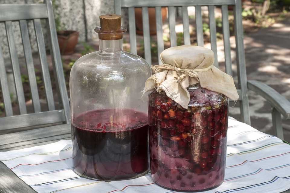 Несколько рецептов как сделать вишневое вино в домашних условиях, в том числе рецепт без водки