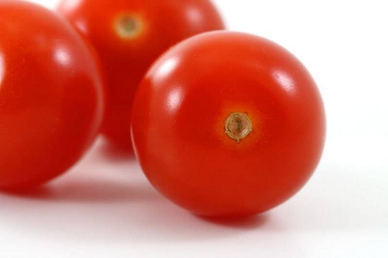 Польза и вред помидоров для организма человека