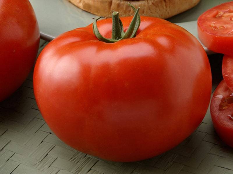 Характеристика и описание сорта томата фенда, его урожайность