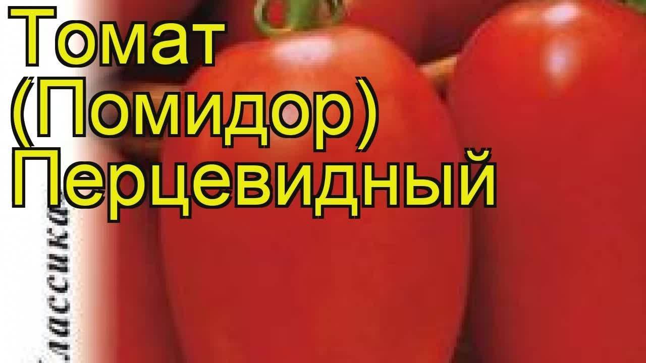 Описание сорта томата безумие касади, его характеристика и урожайность