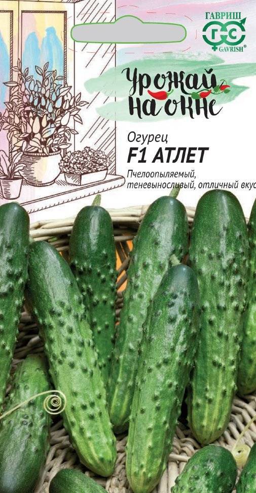 Огурцы эстафета: описание сорта, выращивание и урожайность с фото