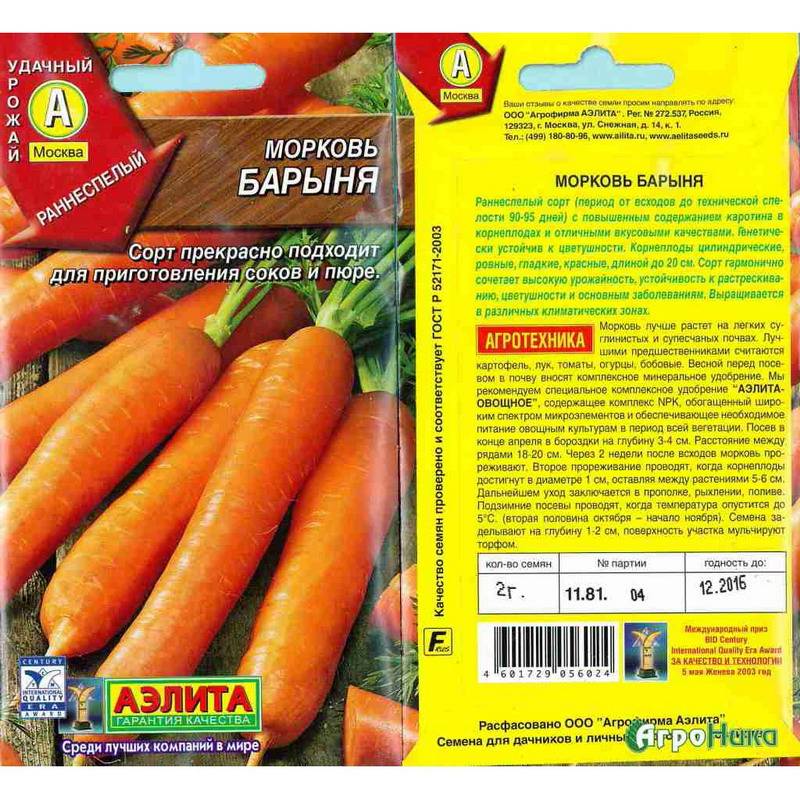 Описание сорта моркови шантане и ее гибридов. выращивание, уход, болезни и вредители