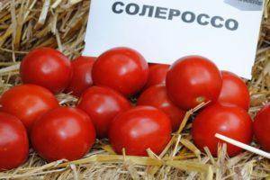 Характеристика и описание гибрида томат «добрый f1»