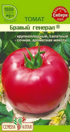 Бравый генерал – особенности крупноплодного томата, подробное описание, секреты выращивания