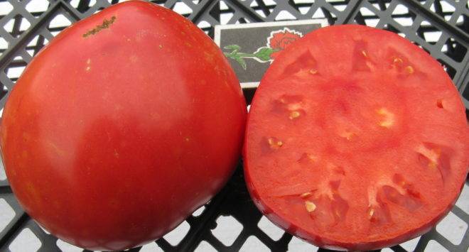 Сорт мясистый сахаристый – крупноплодный розовый томат великолепных вкусовых характеристик: описание и отзывы