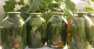 Хрустящие маринованные огурцы на зиму. простые и вкусные рецепты огурчиков в банках