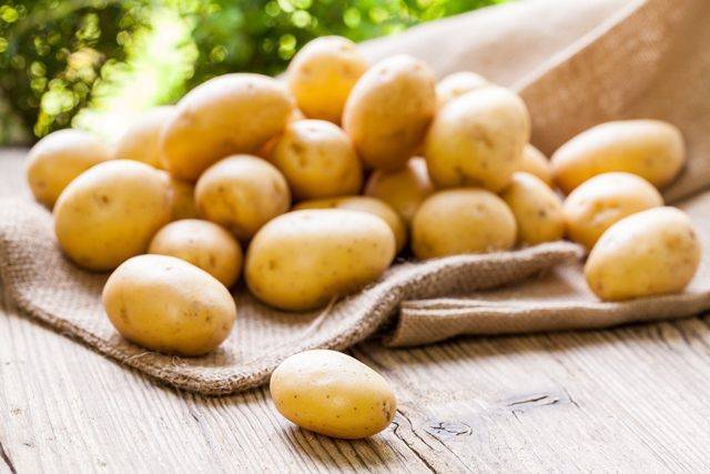 Устойчивые к болезням сорта картофеля (фото и описания)