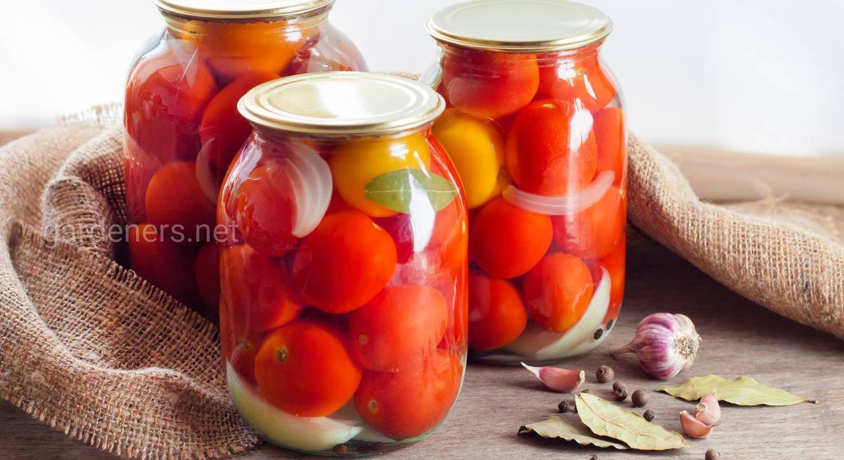 Сорта помидоров для засолки