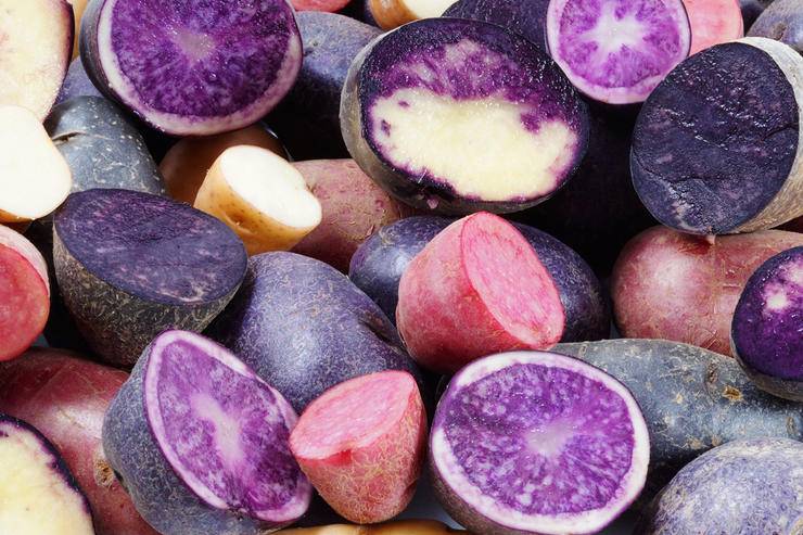Сорта фиолетового картофеля и его полезные свойства