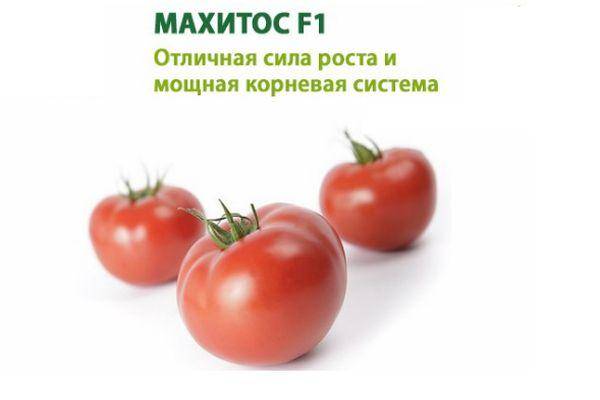 Описание томата малиновая сладость и его характеристика, особенности выращивания