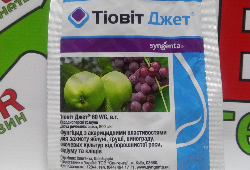 Многофункциональный препарат тиовит джет: когда обрабатывать виноградник и другие растения