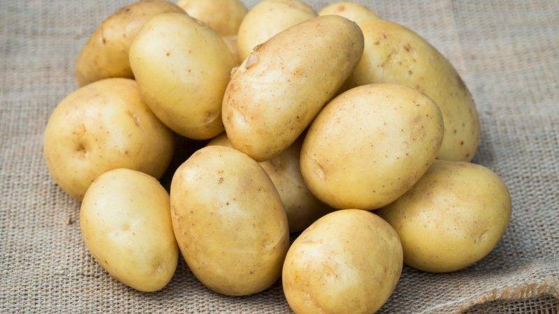 Описание сорта картофеля Уладар, особенности выращивания и ухода