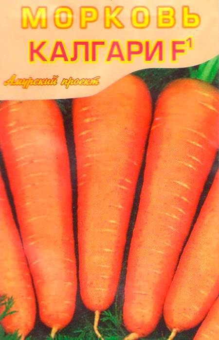 Как бороться с тлей на моркови народными средствами и химическими препаратами