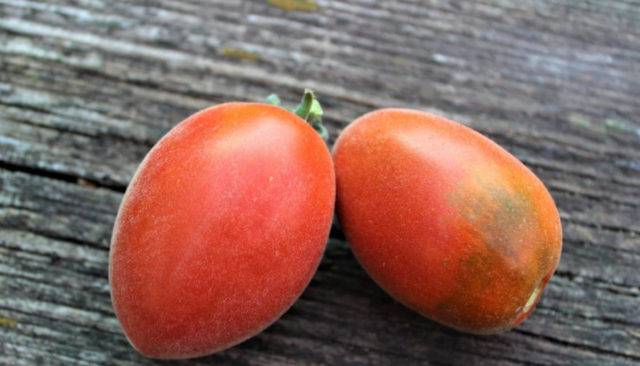 Описание томата мохнатый кейт, агротехника культивирования и выращивание сорта