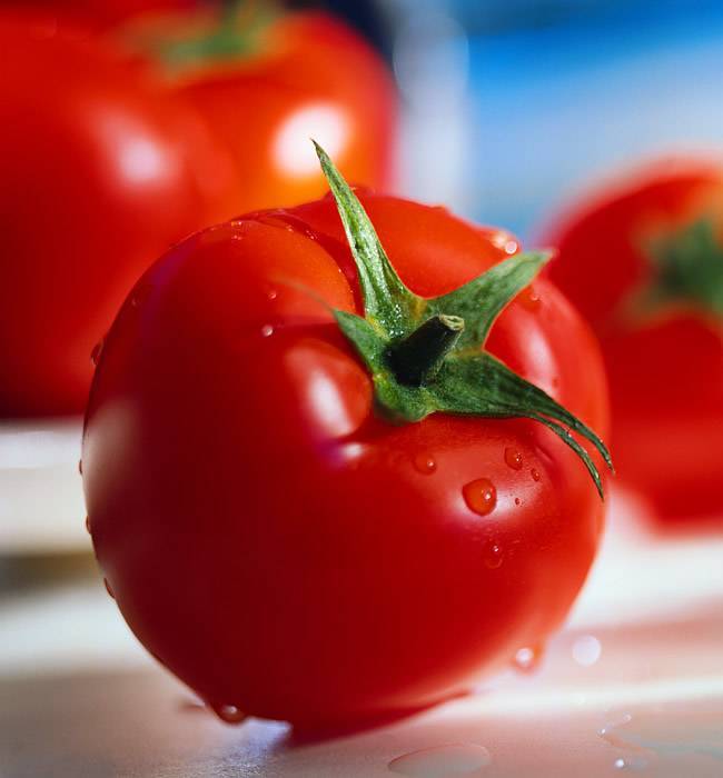 Описание ранних помидоров загадка, преимущества и недостатки