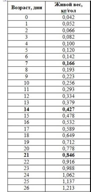 Вес бройлеров в разный период жизни: как определить, таблица набора веса по дням