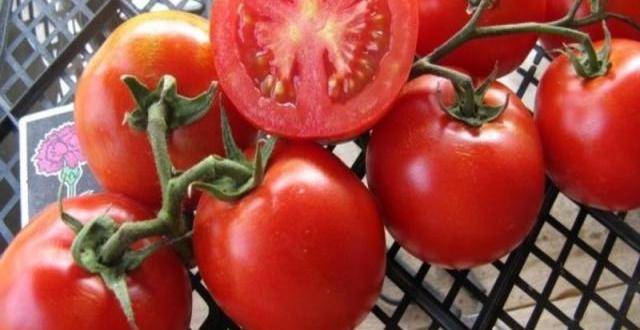 Вкуснейший фаворит салатных изысков — томат душечка f1: характеристика и полное описание сорта