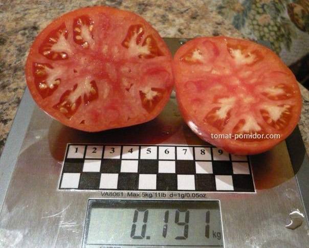 Салатные крупноплодные томаты алсу