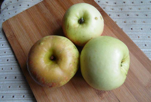 Скороплодная и ранняя яблоня июльское черненко: описание, фото, отзывы