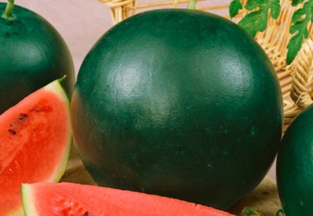 Описание и правила выращивания арбуза сорта Кримсон Свит