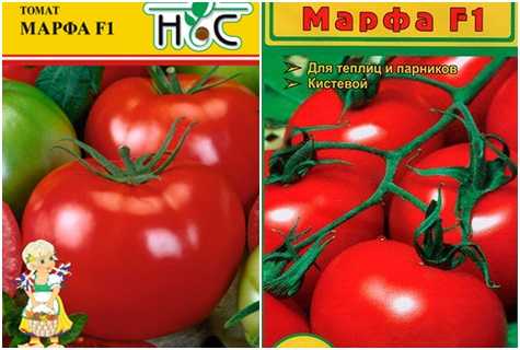 Описание гибридного сорта томата торквей и рекомендации по выращиванию растения