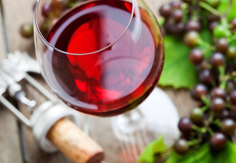 Топ 8 простых рецептов приготовления вина из терна в домашних условиях