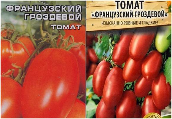 Отличный сорт помидор для выращивания в теплицах — томат «огородник» фото и описание