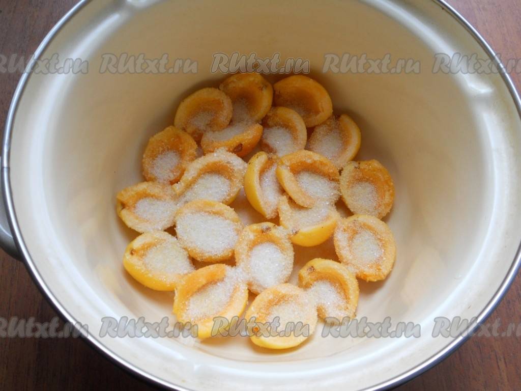 Желе из абрикосов – яркость красок и вкусов. подборка различных рецептов приготовления желе из абрикосов