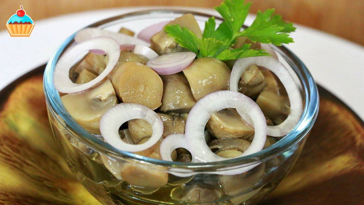 Как засолить шампиньоны дома: рецепты соленых грибов для праздничного стола