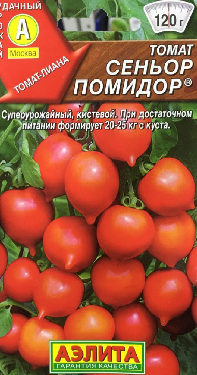 Сорта кистевых томатов для открытого грунта