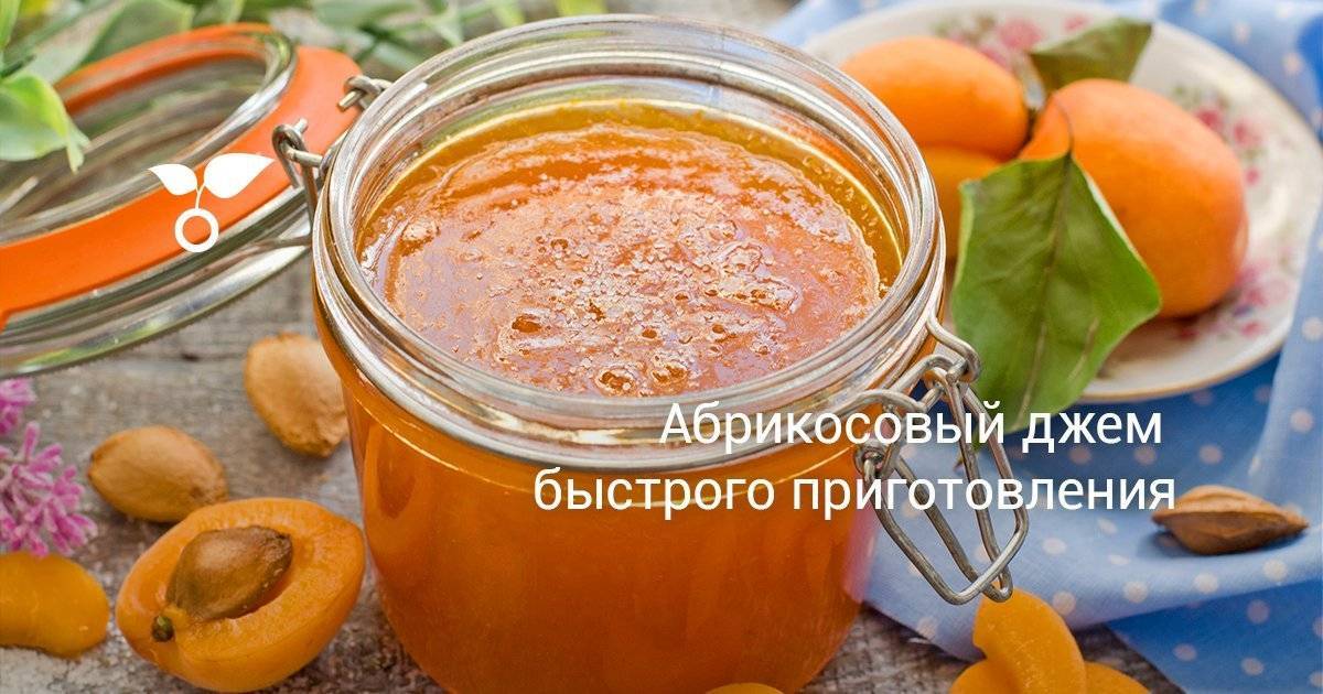 ТОП 6 пошаговых рецептов приготовления на зиму желе из абрикосов