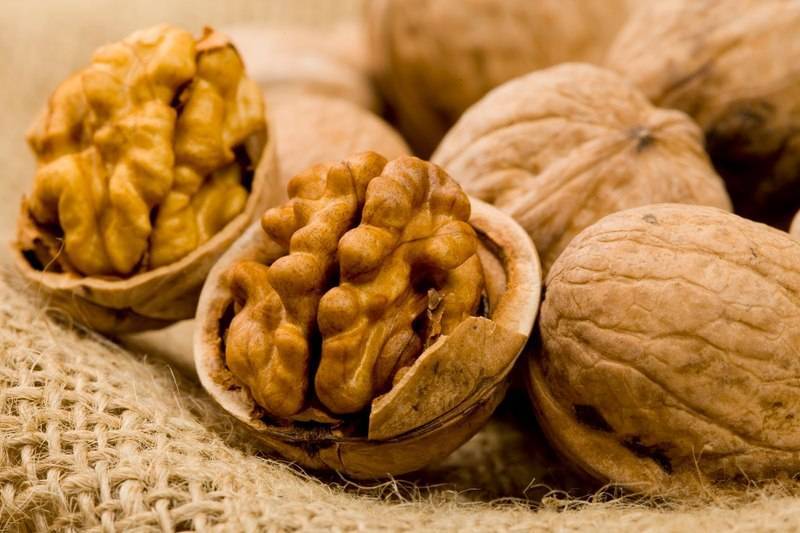 Как хранить грецкие орехи – с пользой круглый год