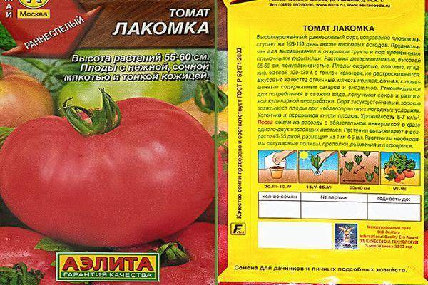 Описание среднеспелого томата черная лакомка и особенности выращивания в теплице