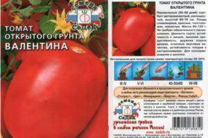 Описание сорта томата северный румянец и его характеристики – дачные дела