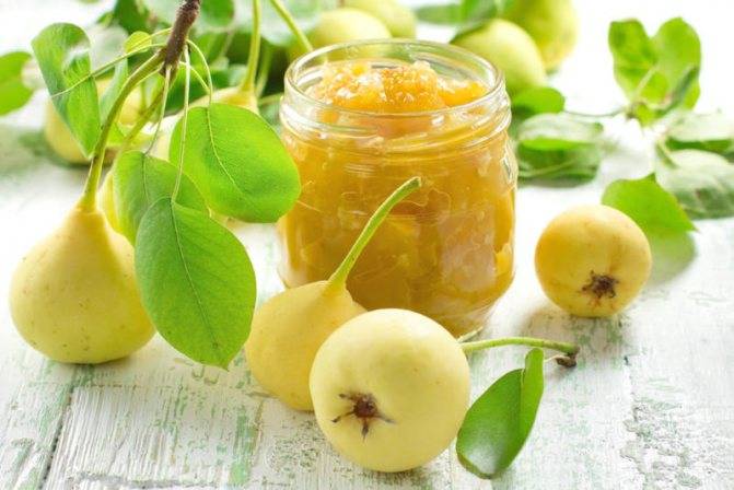 Варенье из яблок и груш: рецепты на зиму