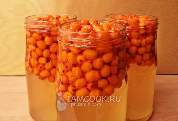 Облепиха на зиму: рецепты варенья, компота, желе, конфитюра, без варки