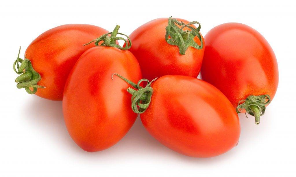 Сорт томата маруся — описание и правила выращивания