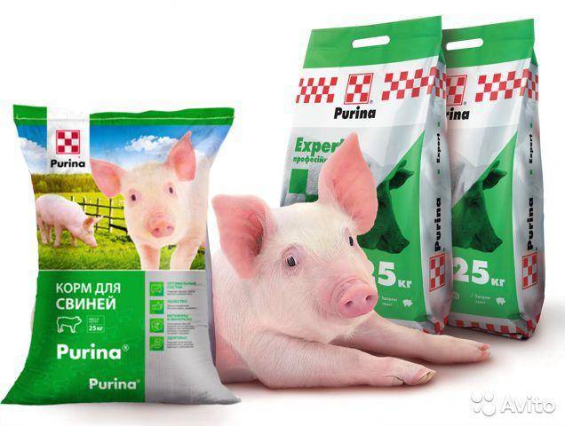Преимущества и состав Пурины для свиней, как правильно давать и срок хранения
