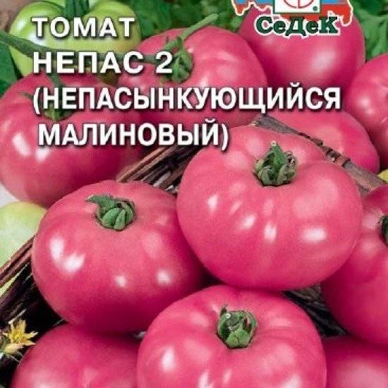 Пасынкуем томаты правильно и выбираем непасынкующиеся сорта
