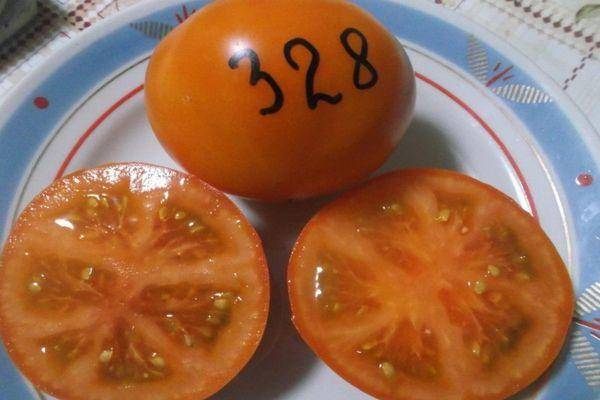 Описание сорта томата хуго, его характеристика и урожайность