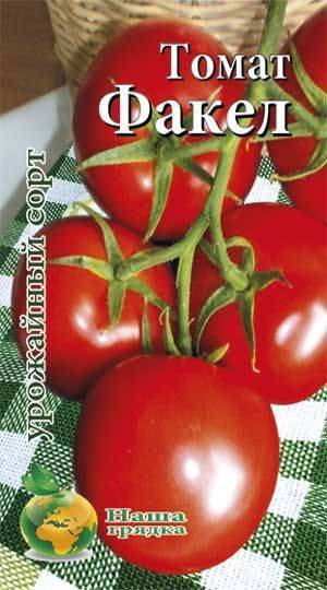 Обзор самых лучших сортов грунтовых томатов: ранние, сладкие, урожайные
