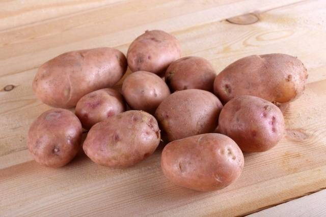 Популярный и сильный картофель «краса» : описание сорта, фото