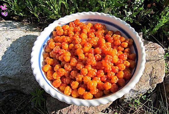 Как варить варенье из морошки, чтобы сохранить всю пользу «царской ягоды»