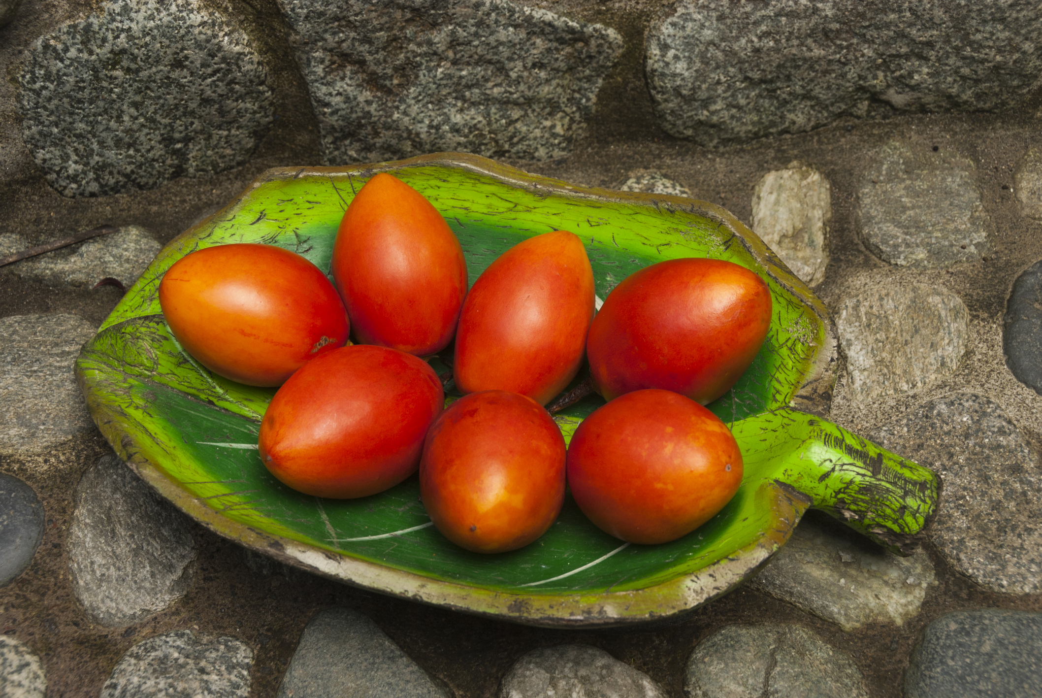 Тамарилло фрукт — фото и описание, как кушать плоды томатного дерева