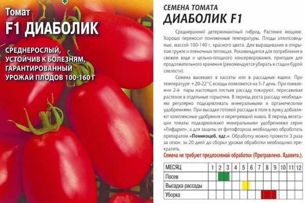 Описание сорта томата диаболик f1, особенности выращивания и ухода