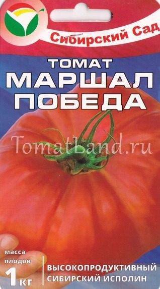 Описание сорта томата Маршал Победа и его урожайность