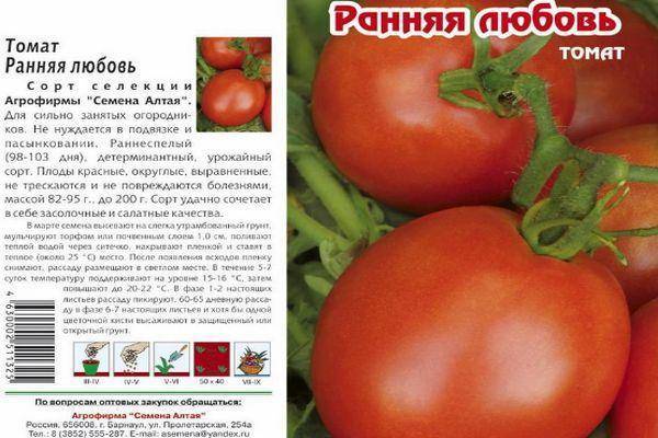 Сорт помидора «ранняя любовь»: фото, видео, отзывы, описание, характеристика, урожайность