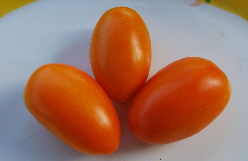 И не ягода совсем, а помидор! достоинства и недостатки томата сорта «черри клубничный» f1