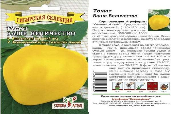 Лучший сорт сибирской селекции томат «вельможа», описание, характеристики, рекомендации