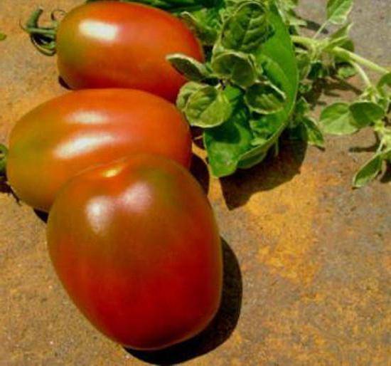 Сорта (помидор) томатов черри для выращивания на даче и дома